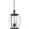 Quoizel Oasis Outdoor Hanging Lantern OAS1909Z - alternate 1